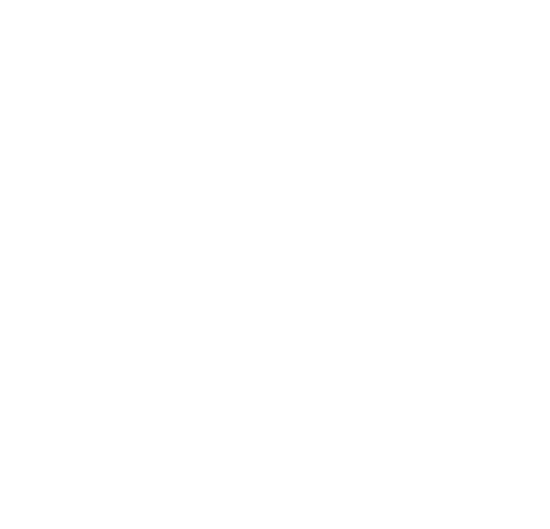 David Ivy Group